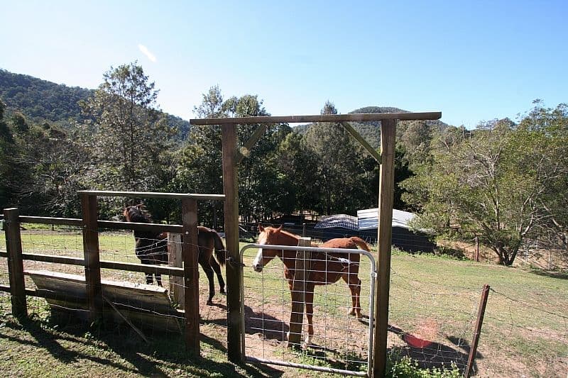 20 Masseys Creek Court, CEDAR CREEK QLD 4520, Cedar Creek - Thumbnail 4