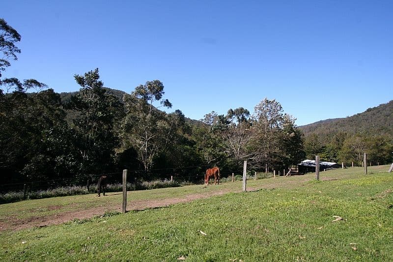 20 Masseys Creek Court, CEDAR CREEK QLD 4520, Cedar Creek - Thumbnail 5