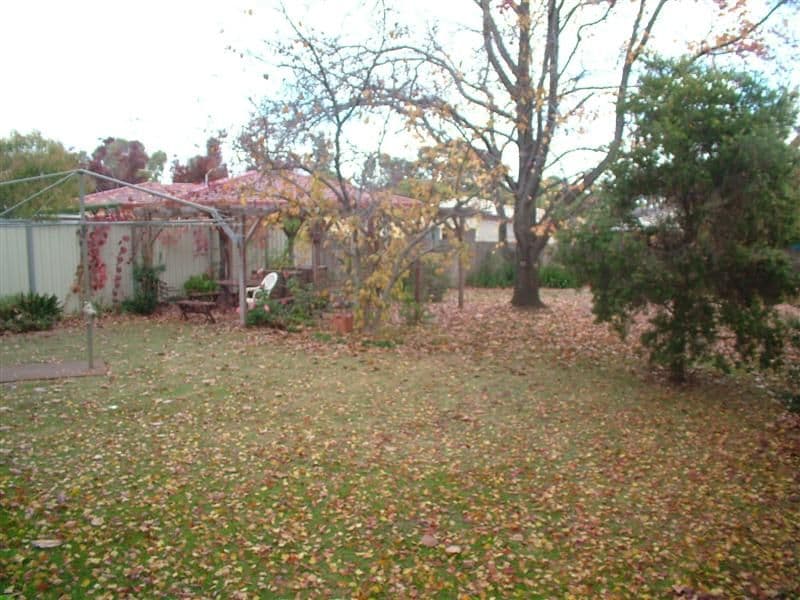 21 Brigalow Avenue, DUBBO NSW 2830, Dubbo - Thumbnail 5