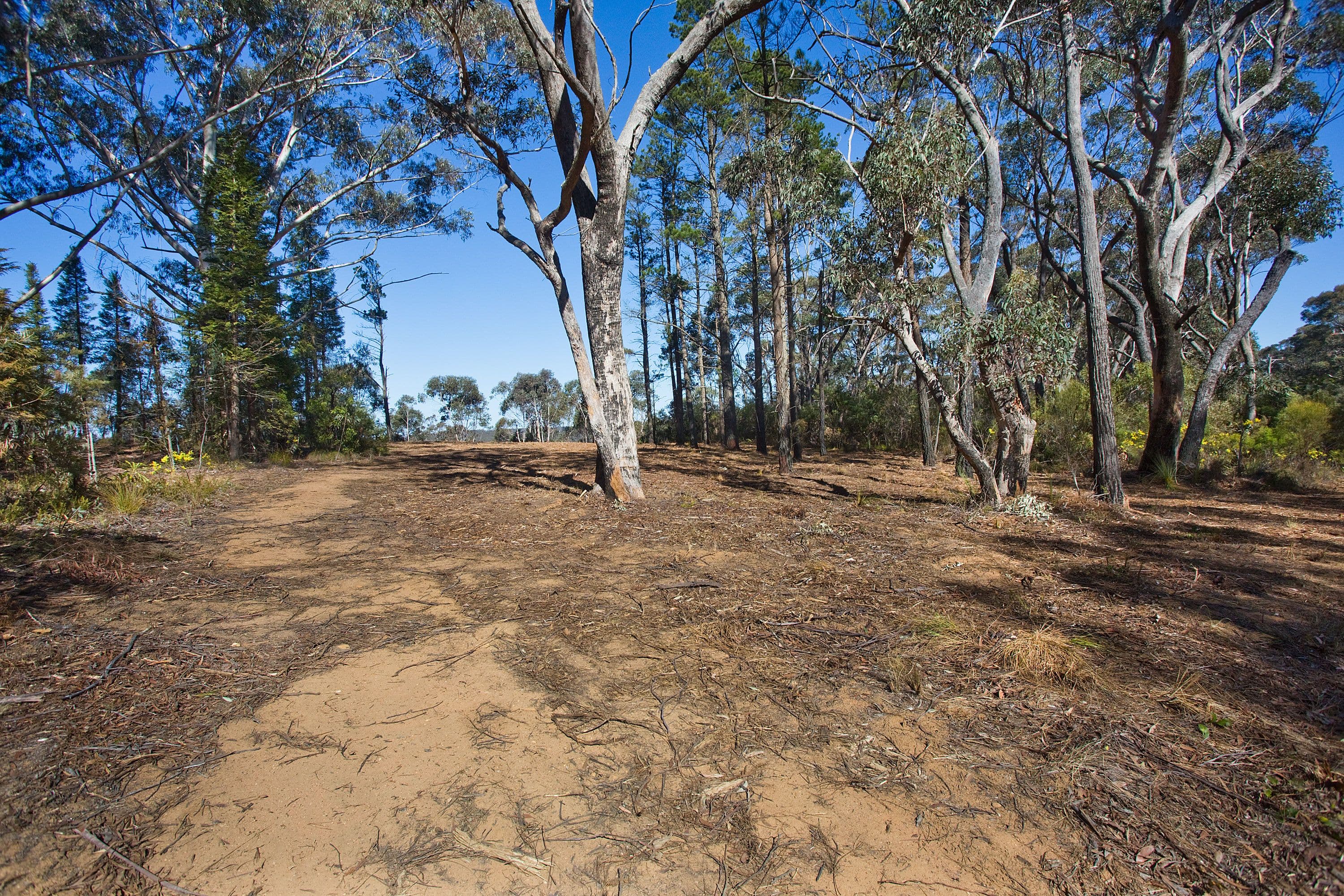 195 Evans Lookout Road, Blackheath NSW 2785, Blackheath - Thumbnail 2