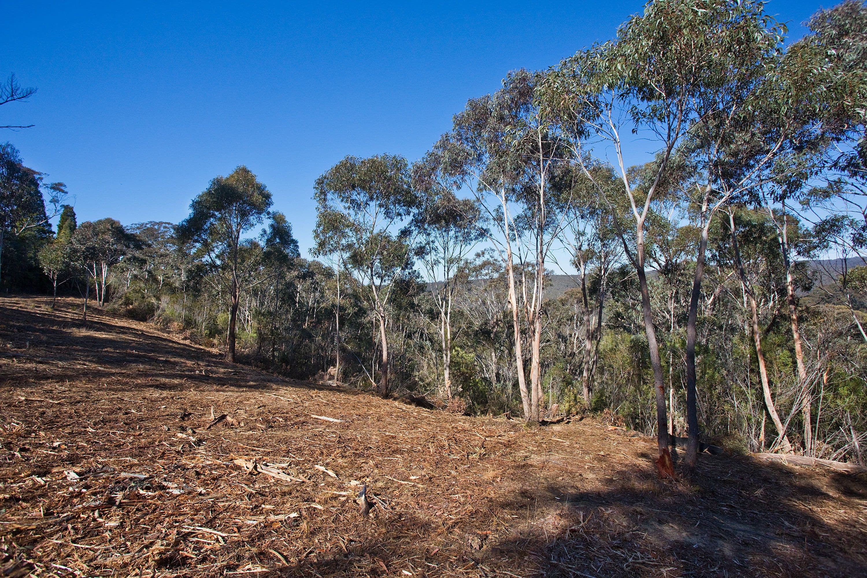195 Evans Lookout Road, Blackheath NSW 2785, Blackheath - Thumbnail 3