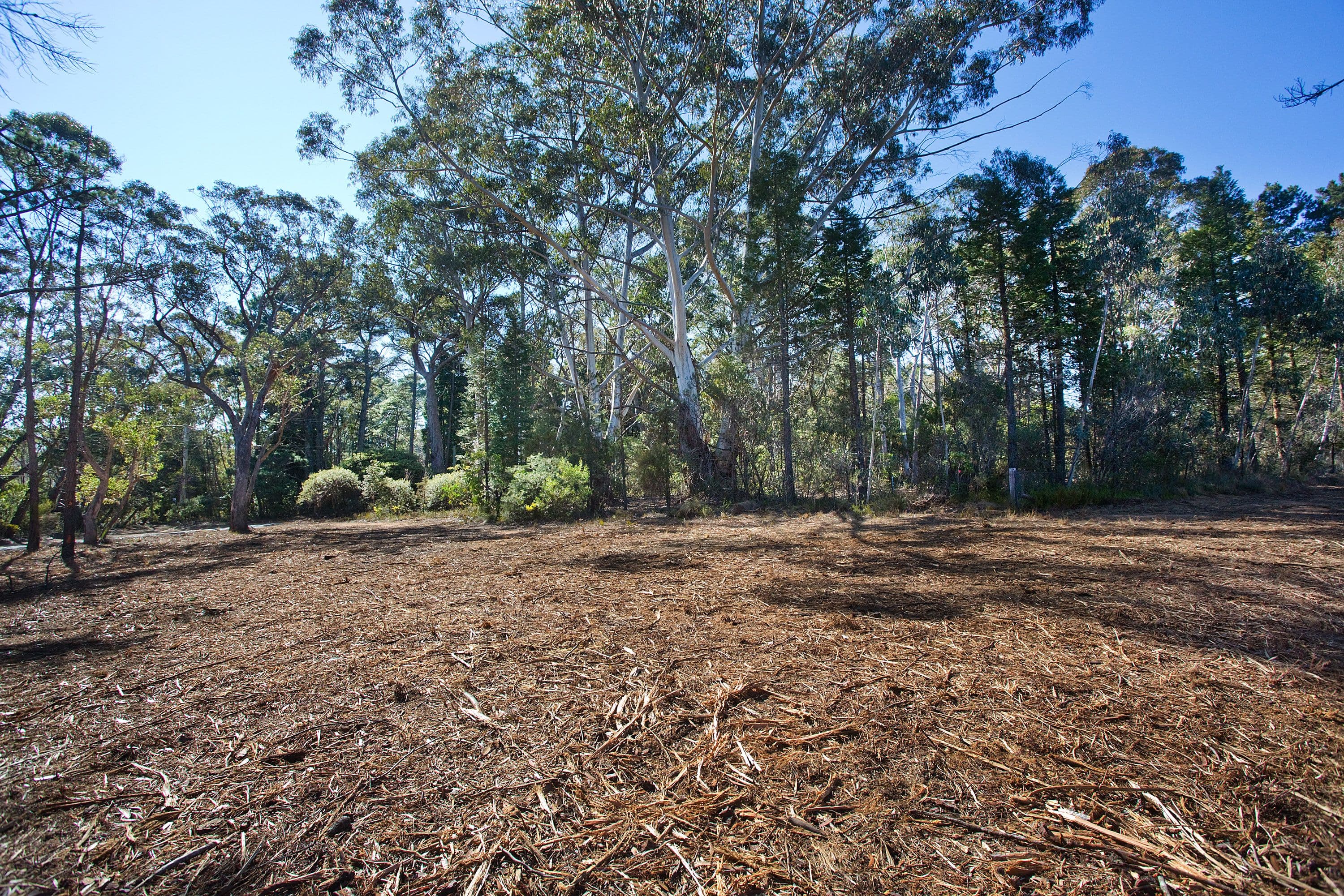 195 Evans Lookout Road, Blackheath NSW 2785, Blackheath - Thumbnail 5