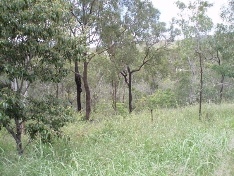 7 Calliungal Road, BAREE QLD 4714, Baree - Thumbnail 2