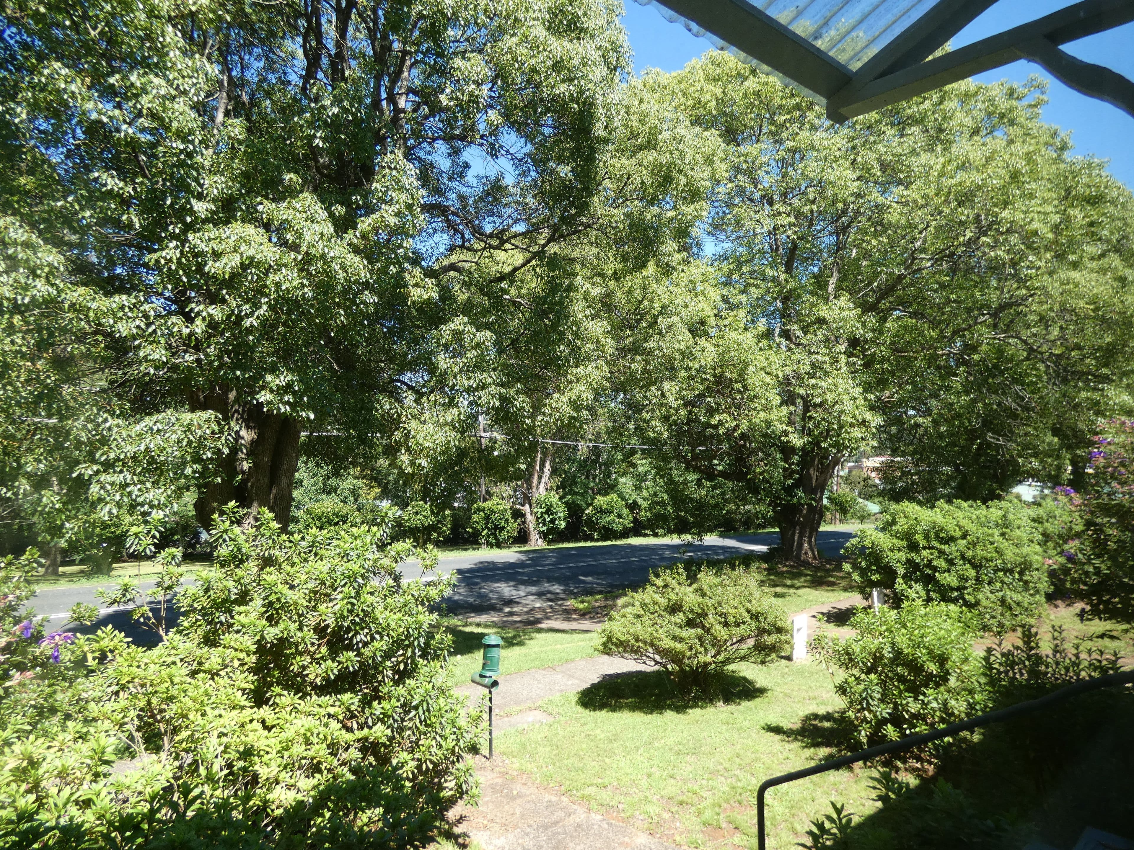 Dorrigo NSW 2453, Dorrigo - Thumbnail 8
