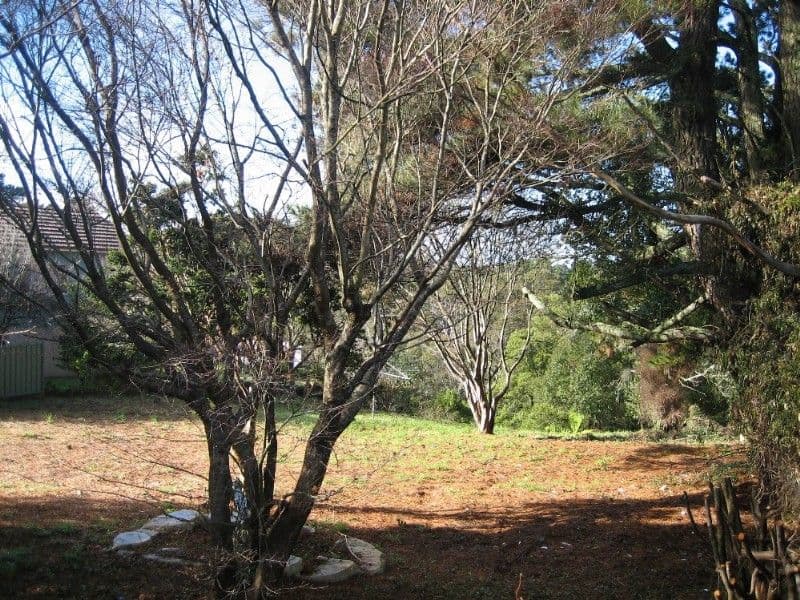 31 Hat Hill Road, BLACKHEATH NSW 2785, Blackheath - Thumbnail 2