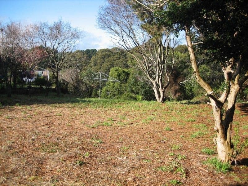 31 Hat Hill Road, BLACKHEATH NSW 2785, Blackheath - Thumbnail 3