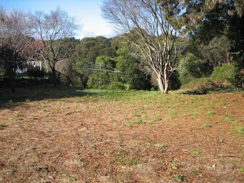31 Hat Hill Road, BLACKHEATH NSW 2785, Blackheath - Thumbnail 4