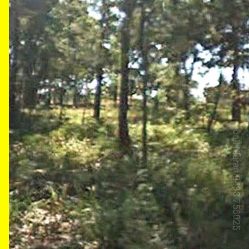 49 Dempsey Street, Russell Island QLD 4184, Russell Island - Thumbnail 3