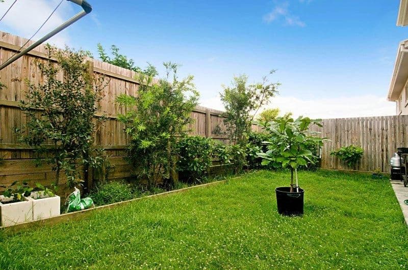 37 2A Beitz Street, STRATHPINE QLD 4500, Strathpine - Thumbnail 5