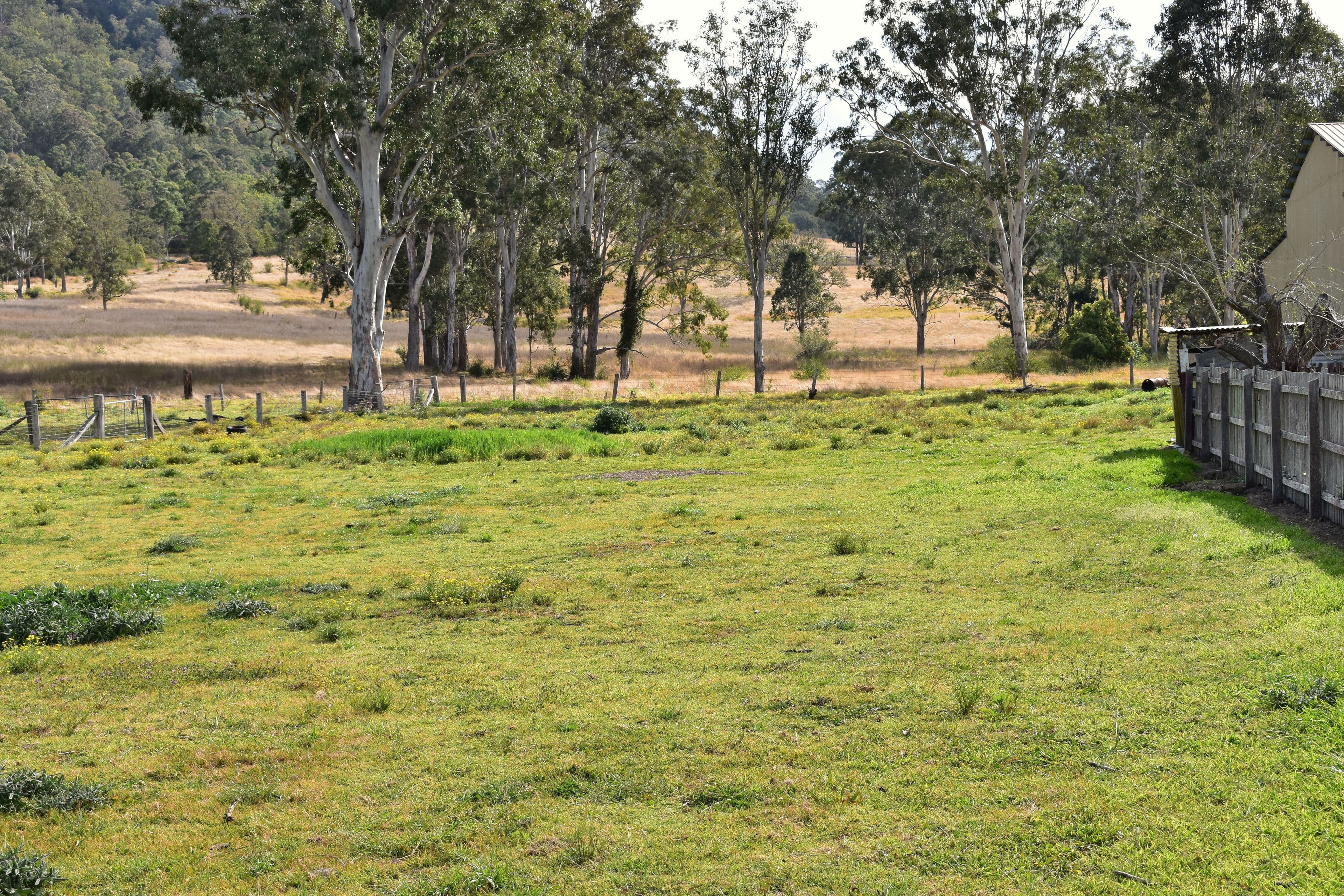 Lot 5 Boomi Street, Urbenville NSW 2475, Urbenville - Image 1