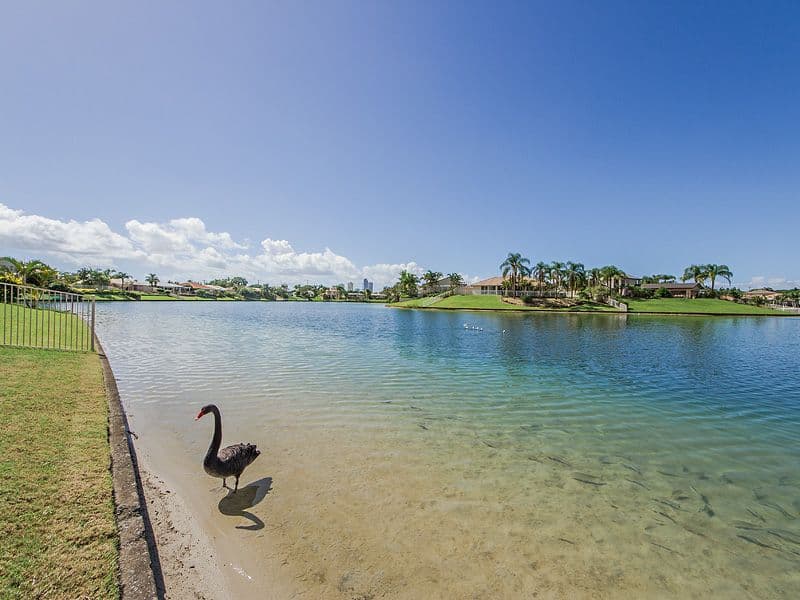 12 Ipsley Drive, BROADBEACH WATERS QLD 4218, Broadbeach Waters - Thumbnail 3