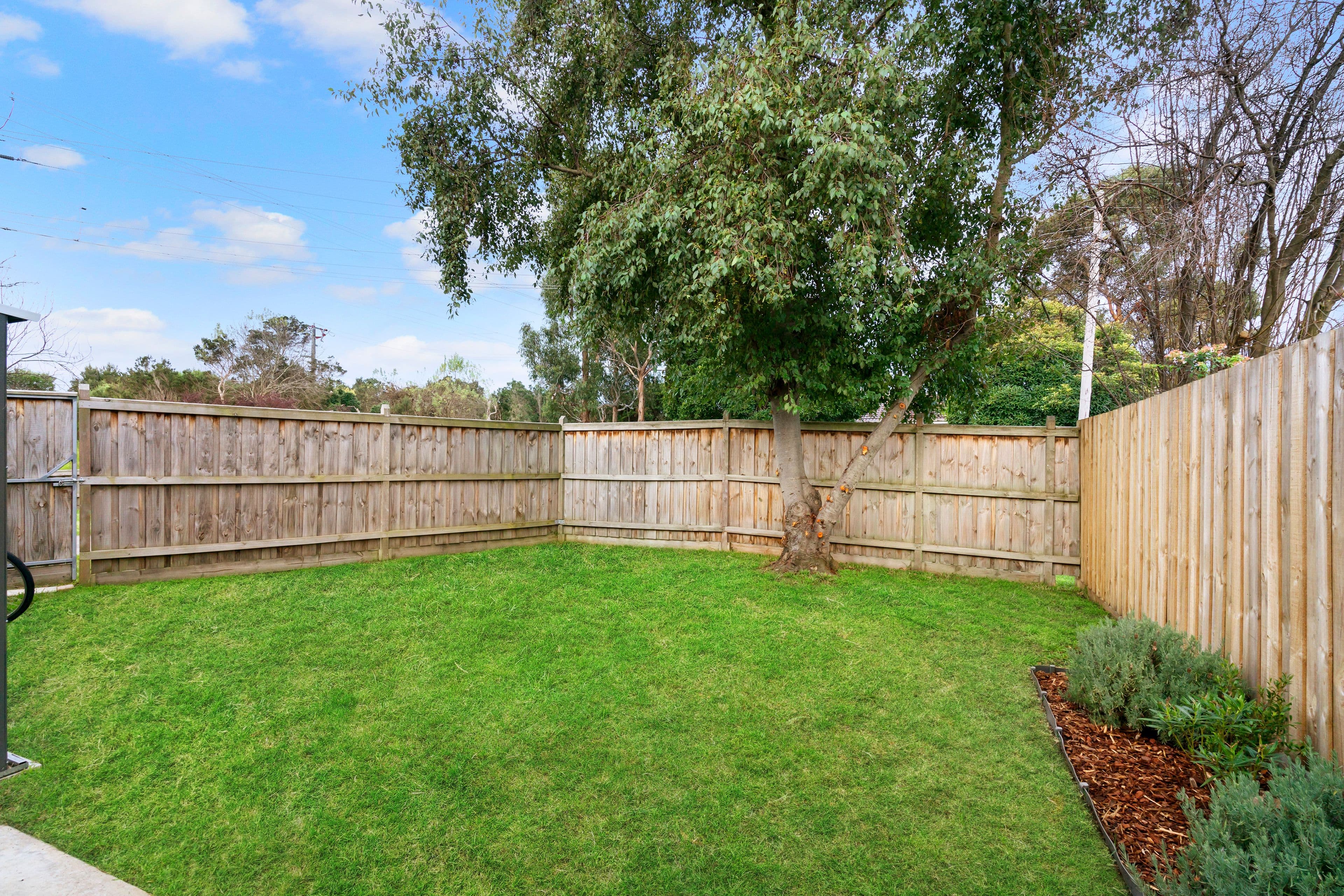 59 Austral Crescent, Baxter VIC 3911, Baxter - Thumbnail 7