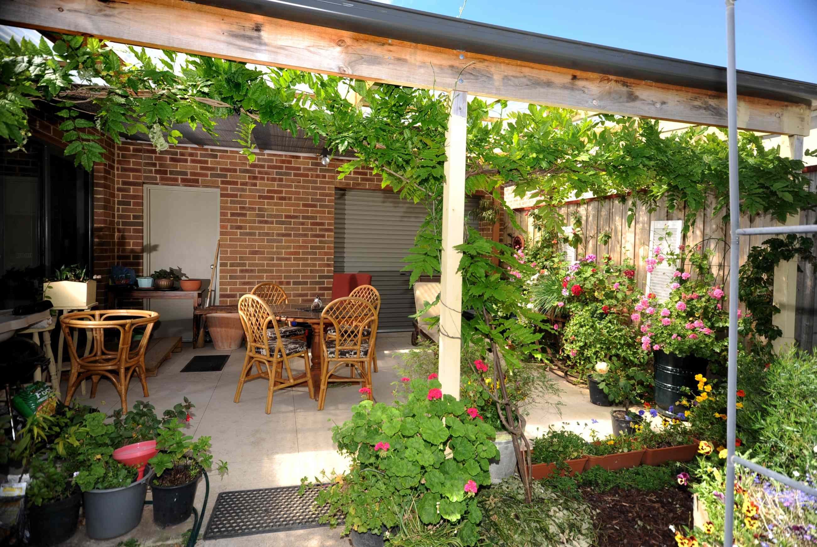 66 Wyndham Street, DRYSDALE VIC 3222, Drysdale - Thumbnail 2
