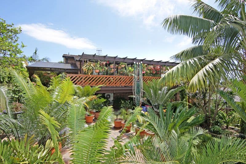 88 Roberta Street, TUMBI UMBI NSW 2261, Tumbi Umbi - Thumbnail 5