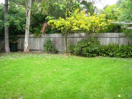 32 Wyuna Avenue, FRESHWATER NSW 2096, Freshwater - Thumbnail 5