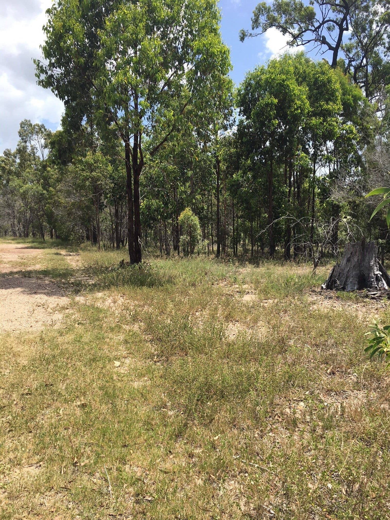 17 Southfork Circuit, Burrum Heads QLD 4659, Burrum Heads - Image 1