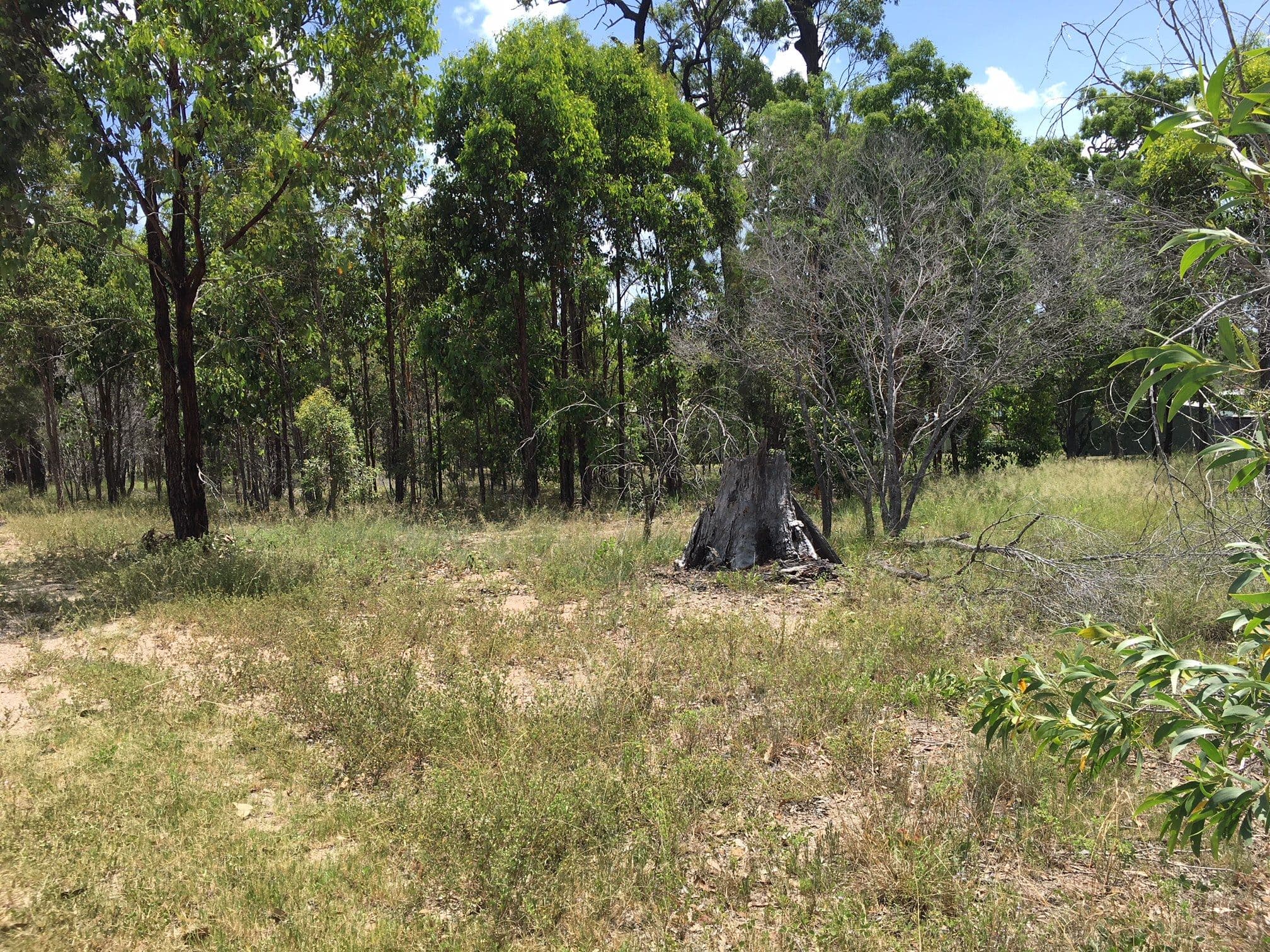 17 Southfork Circuit, Burrum Heads QLD 4659, Burrum Heads - Thumbnail 2