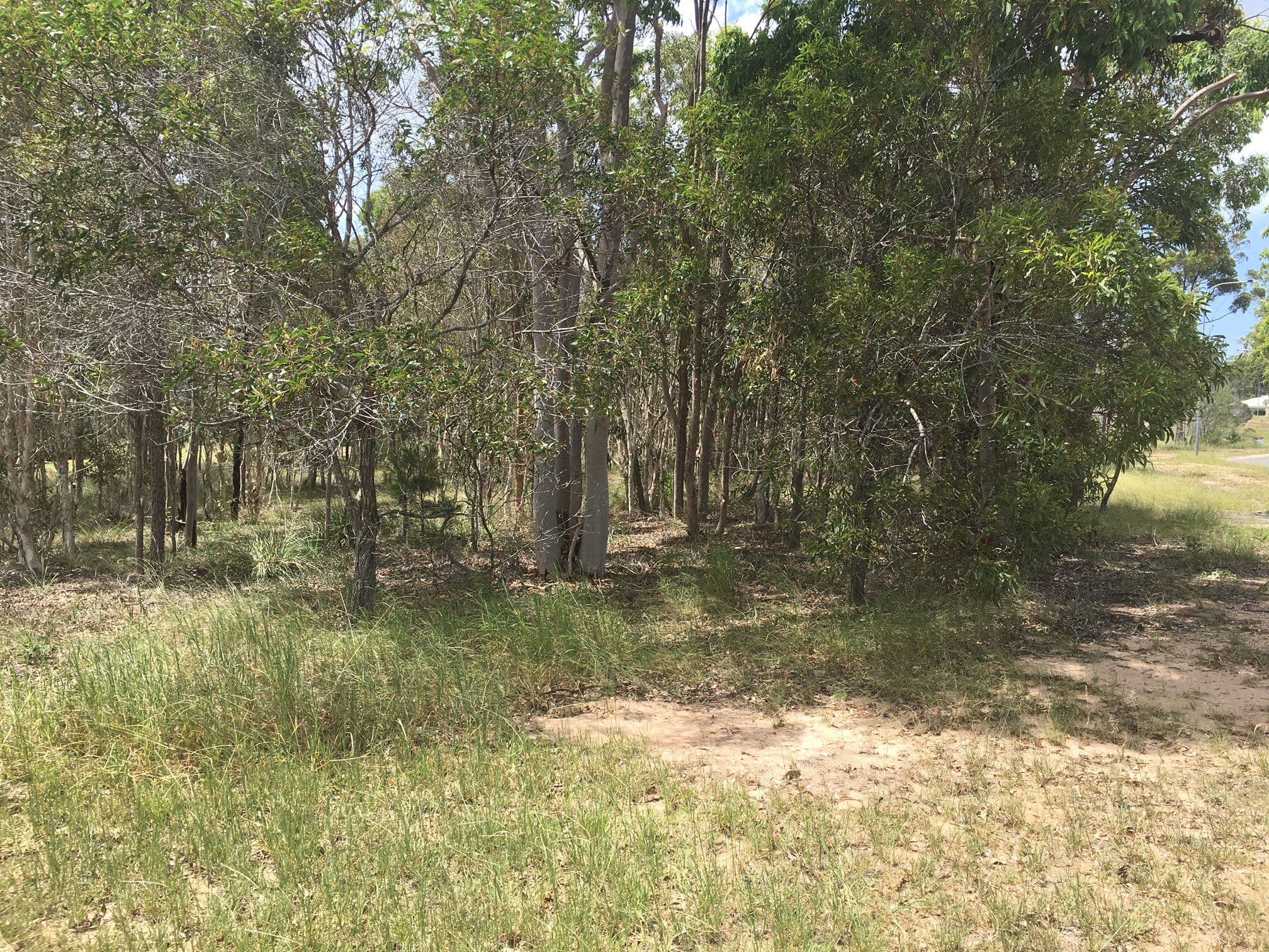 17 Southfork Circuit, Burrum Heads QLD 4659, Burrum Heads - Thumbnail 5
