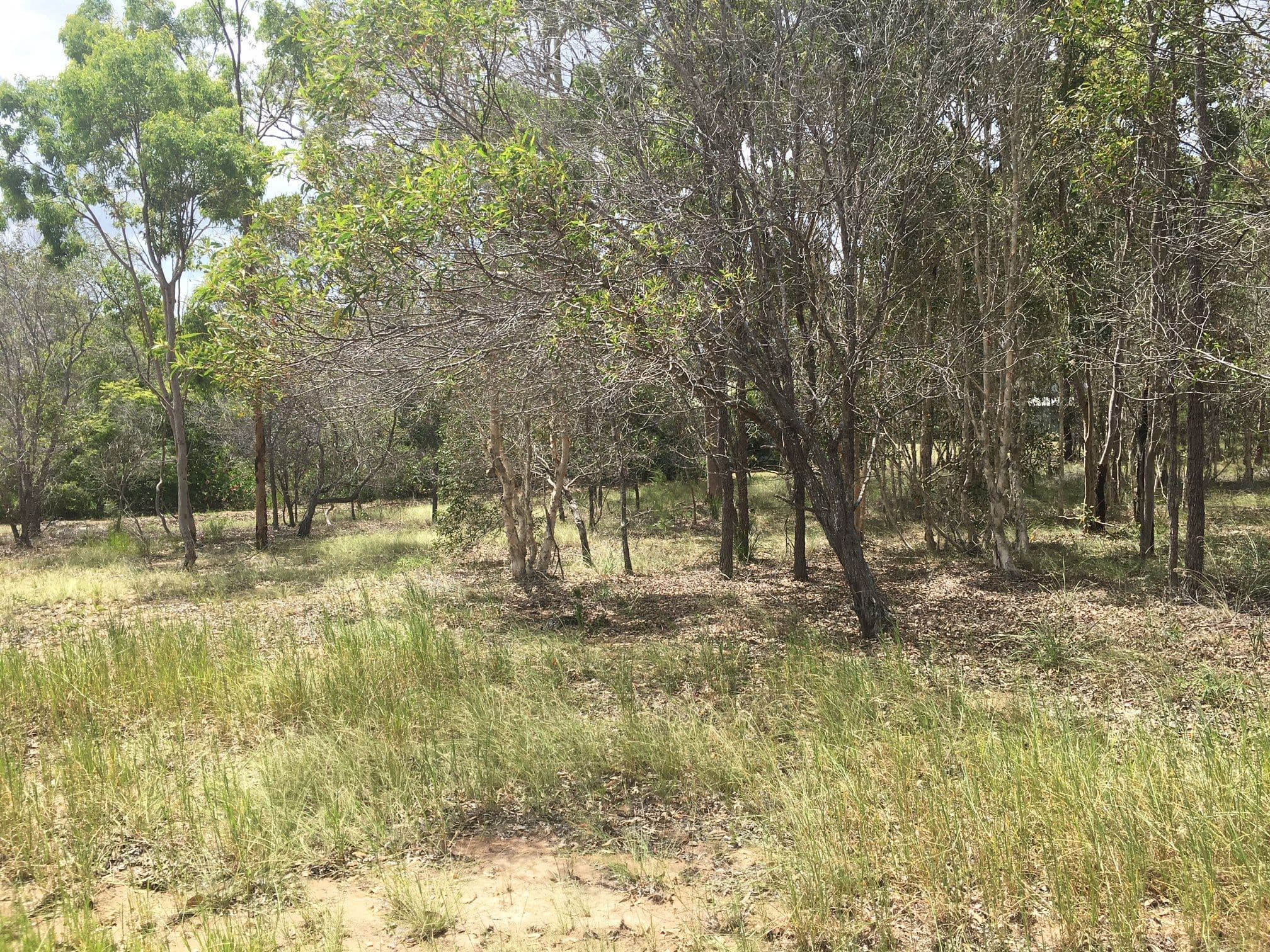 17 Southfork Circuit, Burrum Heads QLD 4659, Burrum Heads - Thumbnail 6