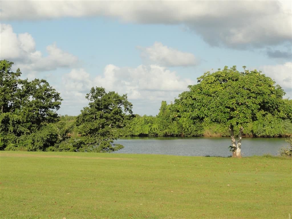 33 Paul Street, CULLINANE QLD 4860, Cullinane - Thumbnail 2