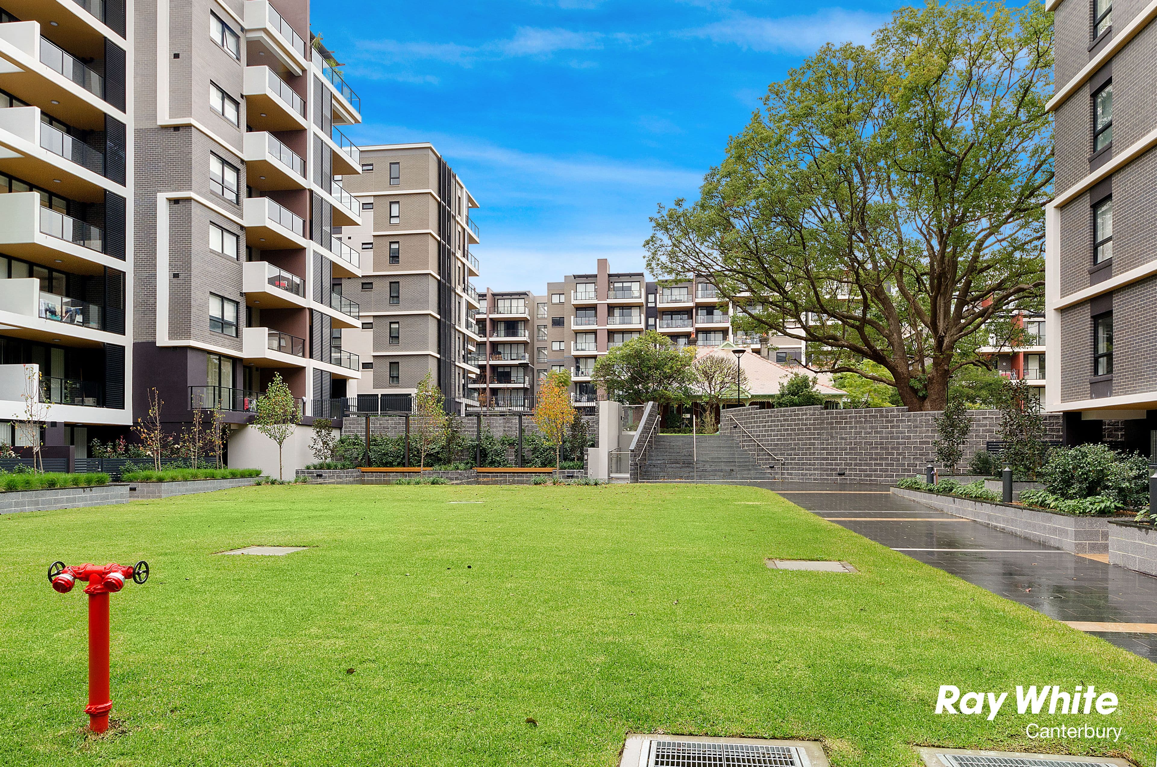  8C Junction Street, Ryde NSW 2112, Ryde - Thumbnail 8