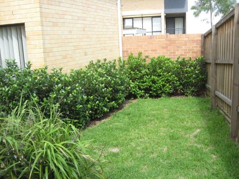 2 Charles Street, CARLINGFORD NSW 2118, Carlingford - Thumbnail 5