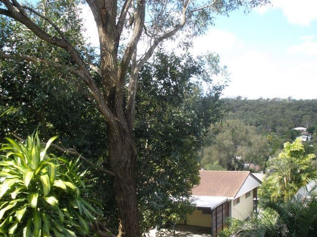 43 Bankside Street, NATHAN QLD 4111, Nathan - Thumbnail 4