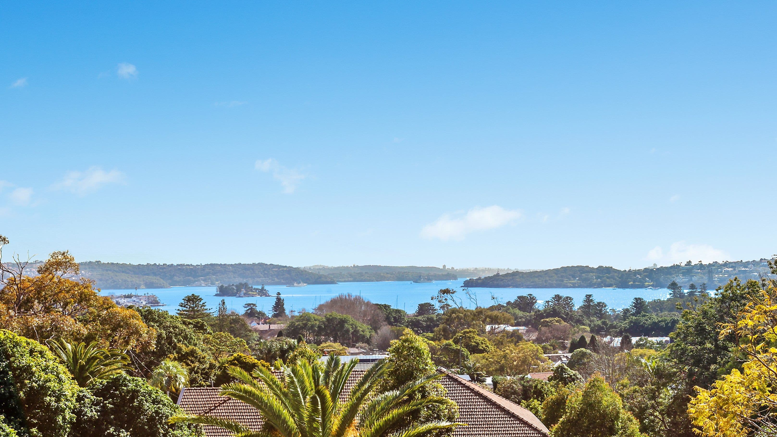 64 Drumalbyn Road, Bellevue Hill NSW 2023, Bellevue Hill - Thumbnail 5