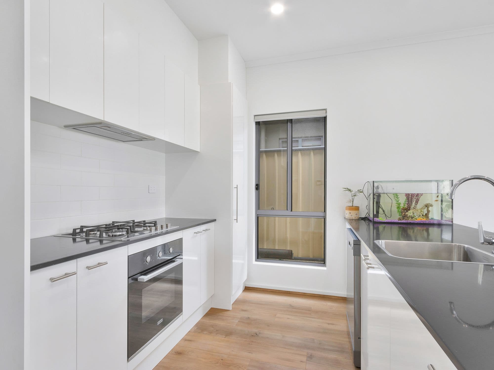 9 Moore Lane, Freeling SA 5372, Freeling - Thumbnail 8