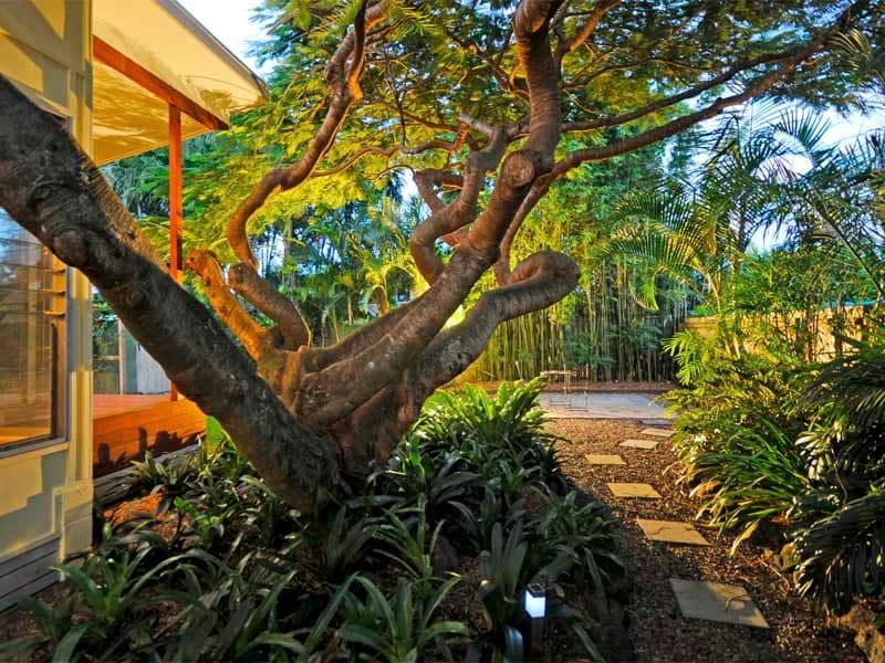 9 Mokera Avenue, PALM BEACH QLD 4221, Palm Beach - Thumbnail 7