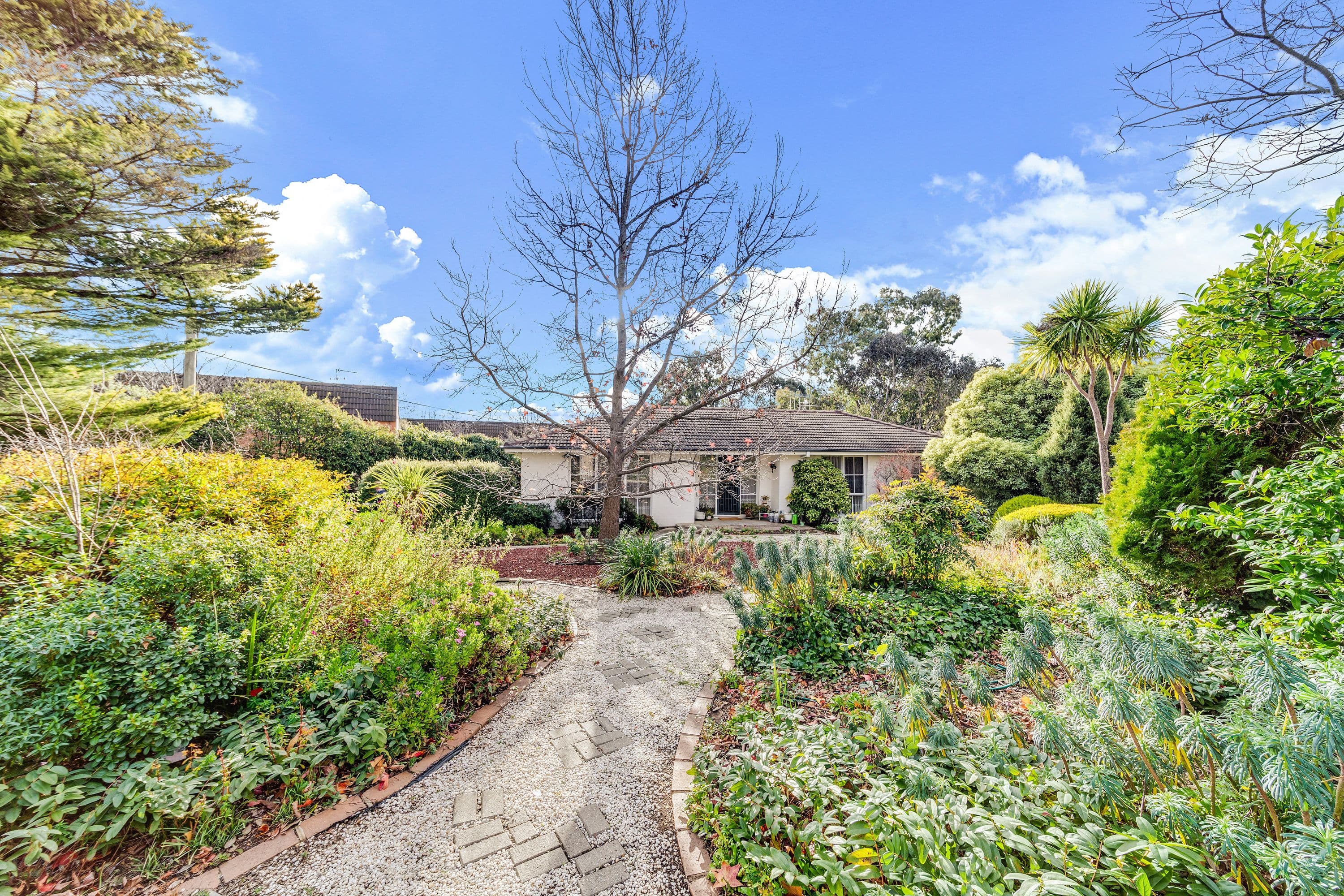 3 Spafford Crescent, Farrer ACT 2607, Farrer - Thumbnail 3