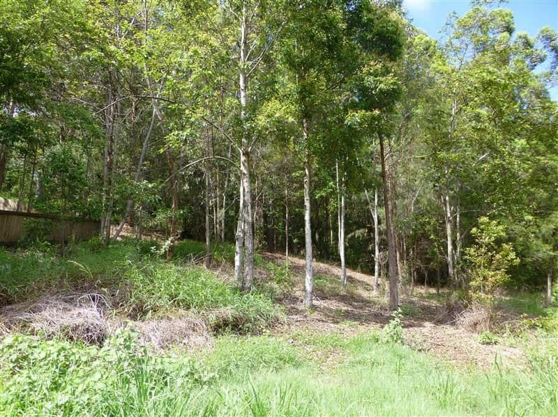 46 Clearwater Circuit, BLI BLI QLD 4560, Bli Bli - Thumbnail 4