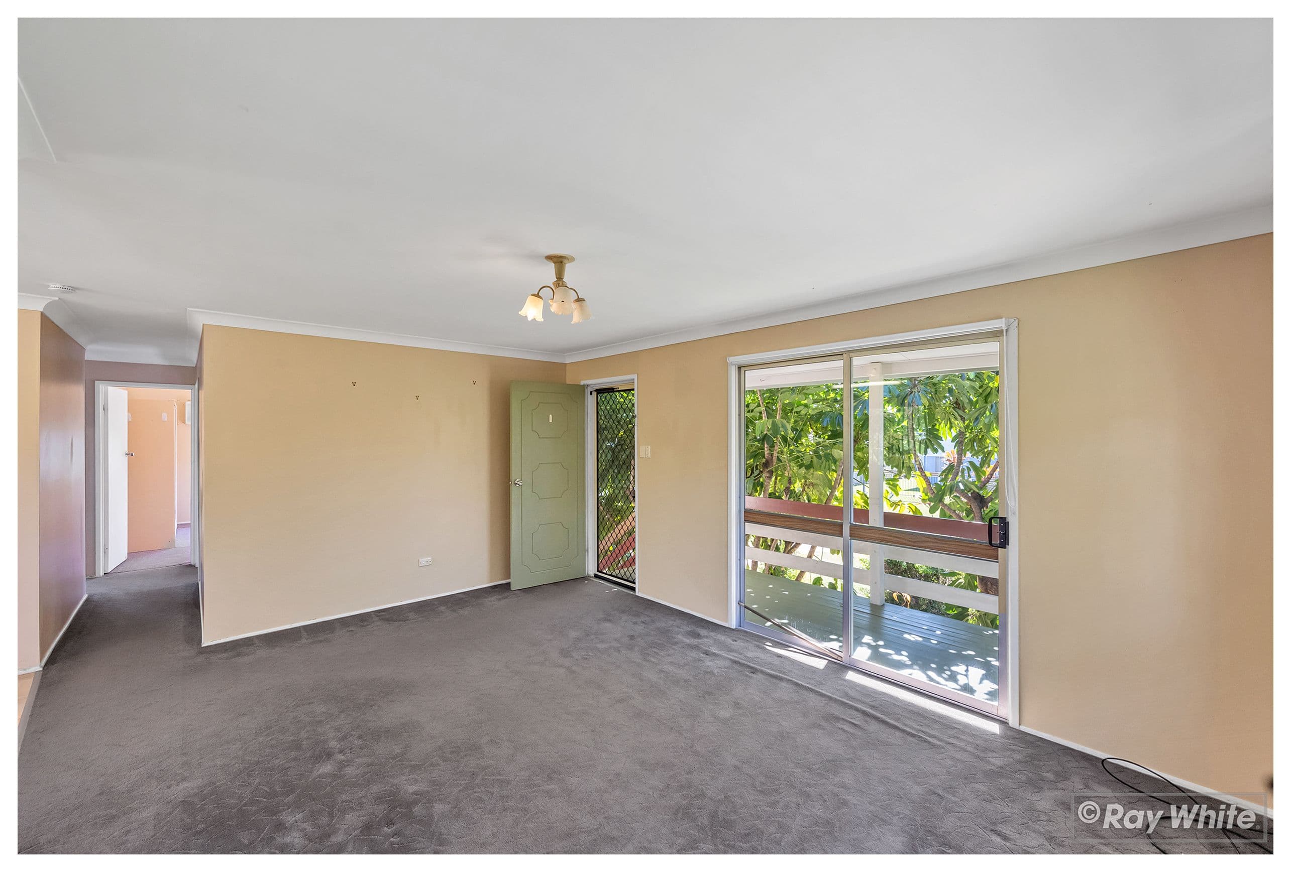 53 Twigg Street, Park Avenue QLD 4701, Park Avenue - Thumbnail 4
