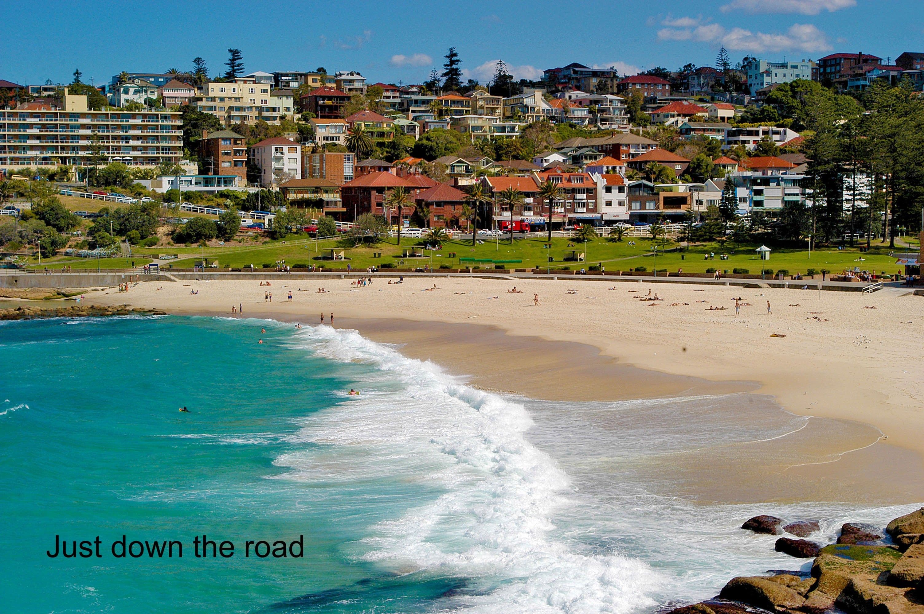 1a Macpherson Street, Waverley NSW 2024, Waverley - Thumbnail 5