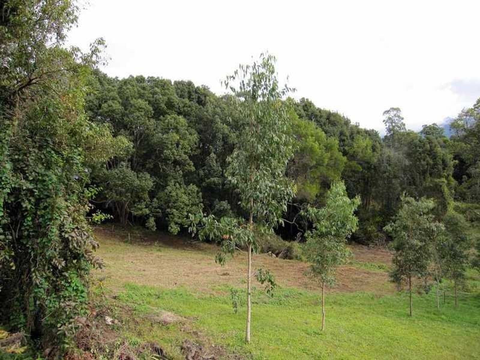 10 Cudrigan Street, Tyalgum - Thumbnail 5