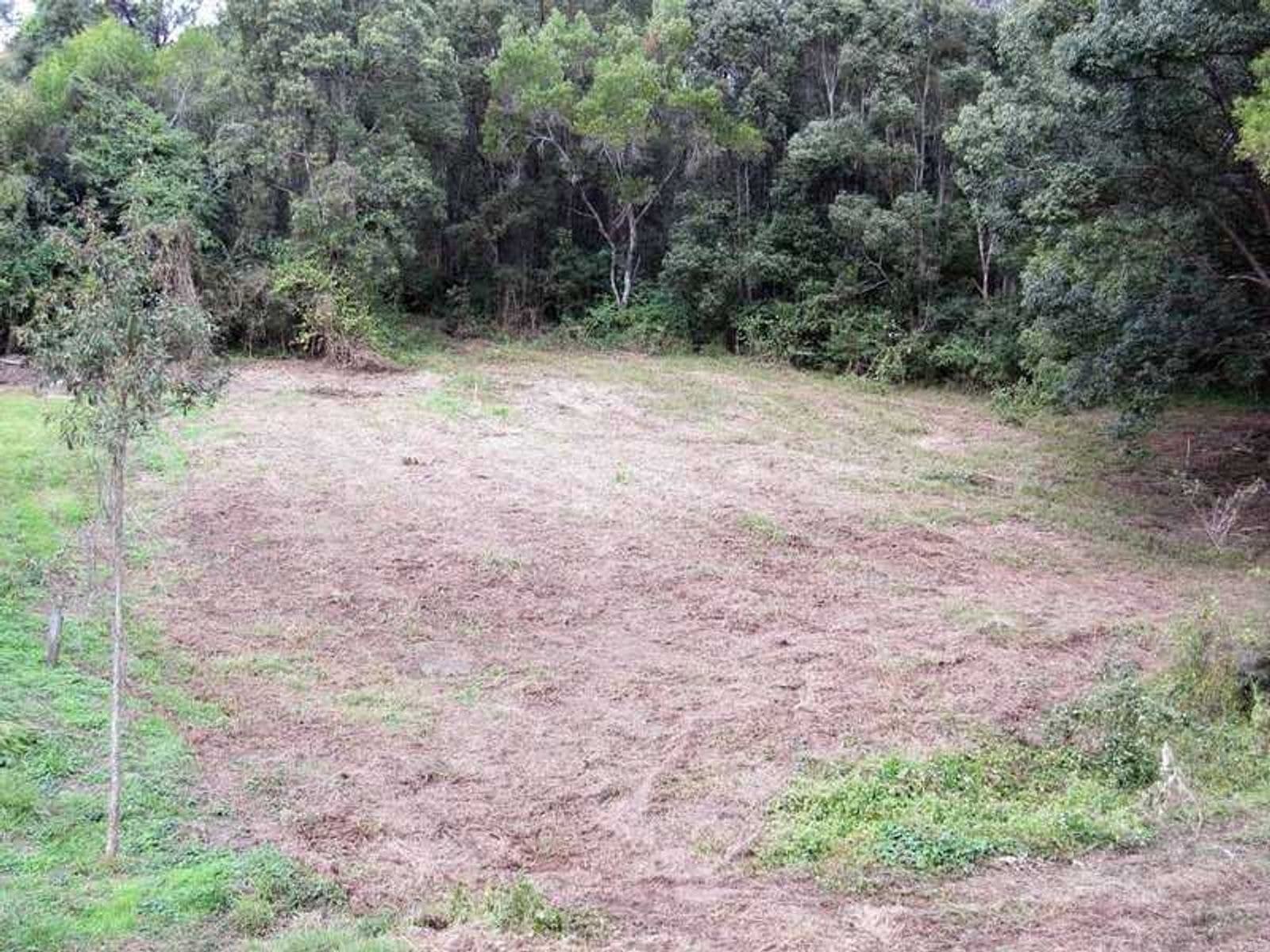 10 Cudrigan Street, Tyalgum - Thumbnail 6