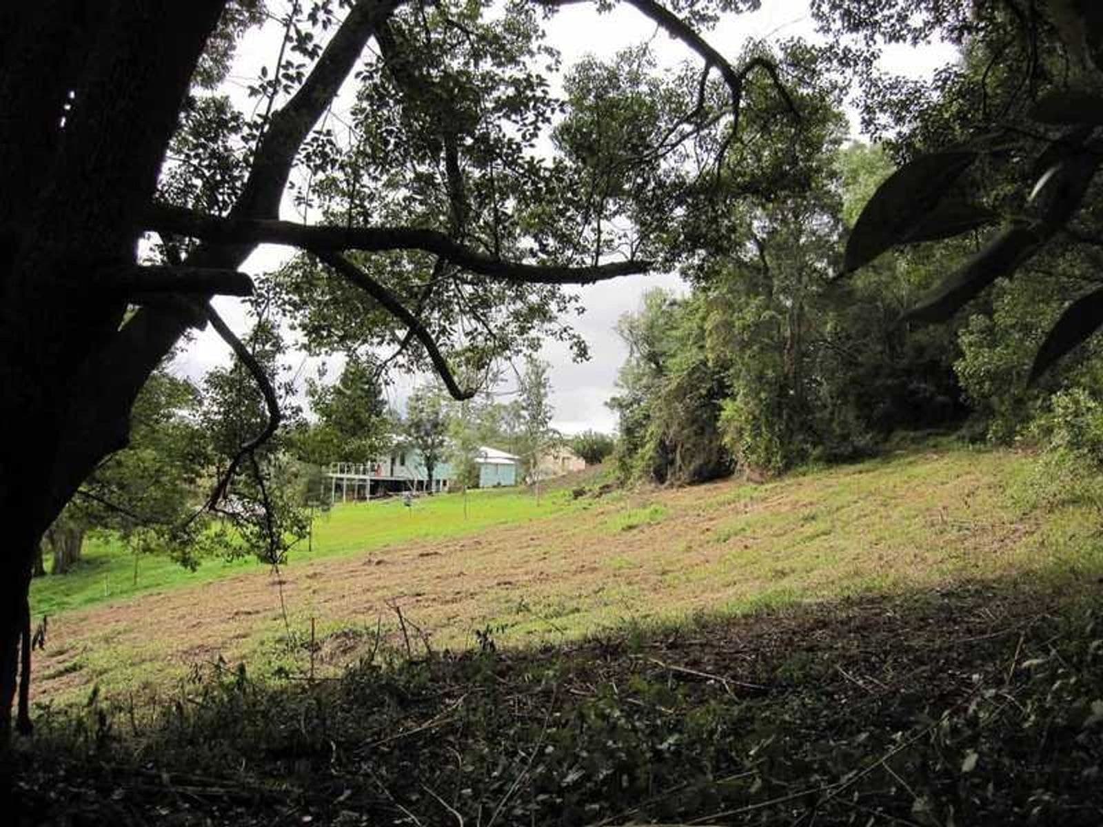 10 Cudrigan Street, Tyalgum - Thumbnail 7