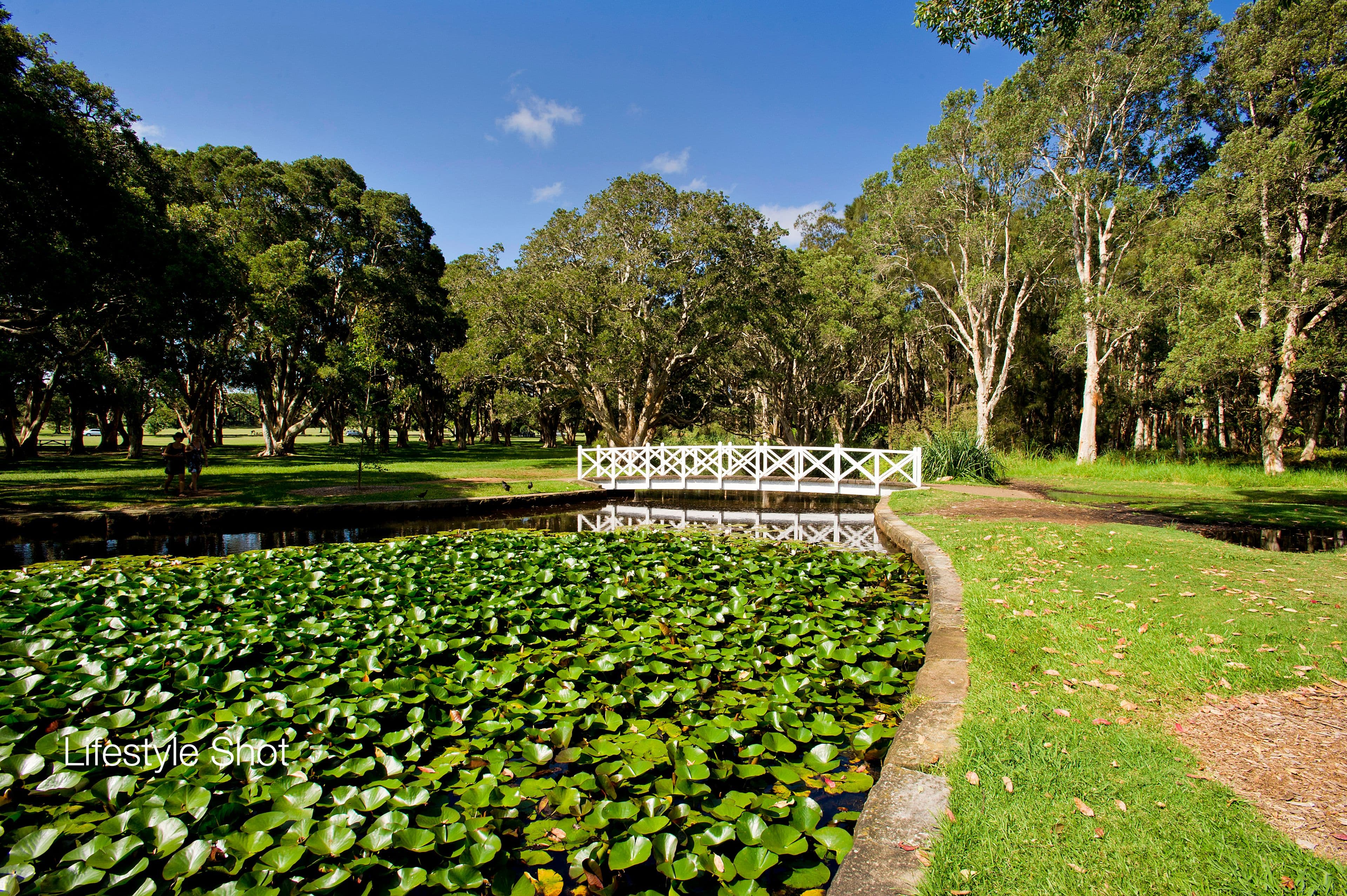 4 Govett Street, Randwick - Thumbnail 8