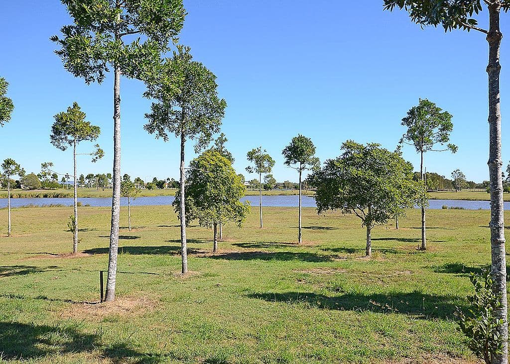 7 Brolga Court, Eli Waters QLD 4655, Eli Waters - Thumbnail 2