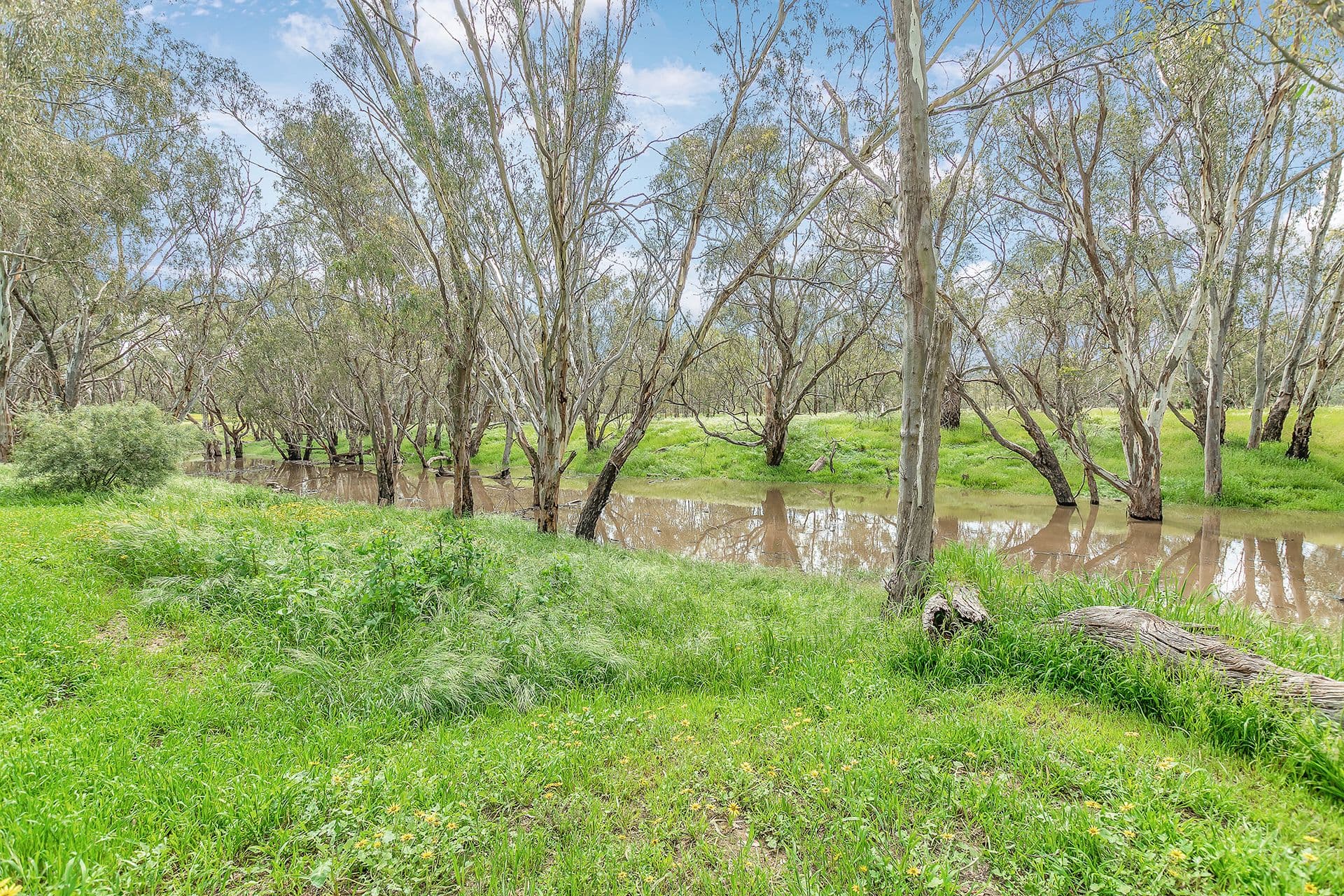 23 Chelsworth Drive, Echuca VIC 3564, Echuca - Thumbnail 4