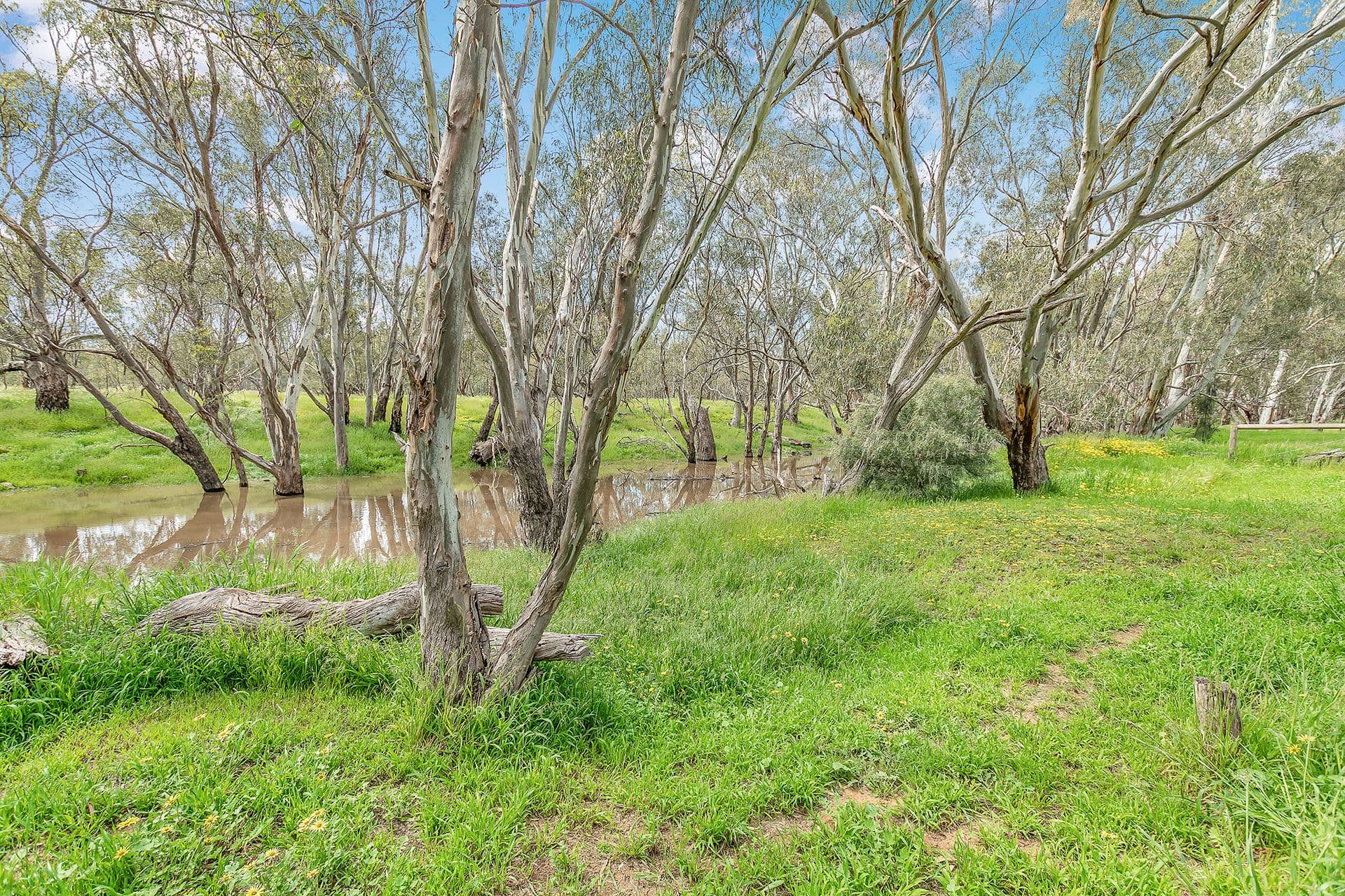 23 Chelsworth Drive, Echuca VIC 3564, Echuca - Thumbnail 5