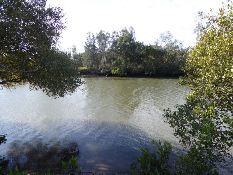 57 The Peninsula, Helensvale QLD 4212, Helensvale - Thumbnail 7
