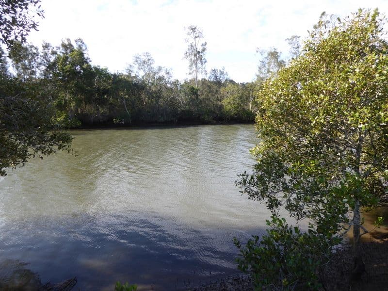 57 The Peninsula, Helensvale QLD 4212, Helensvale - Thumbnail 8