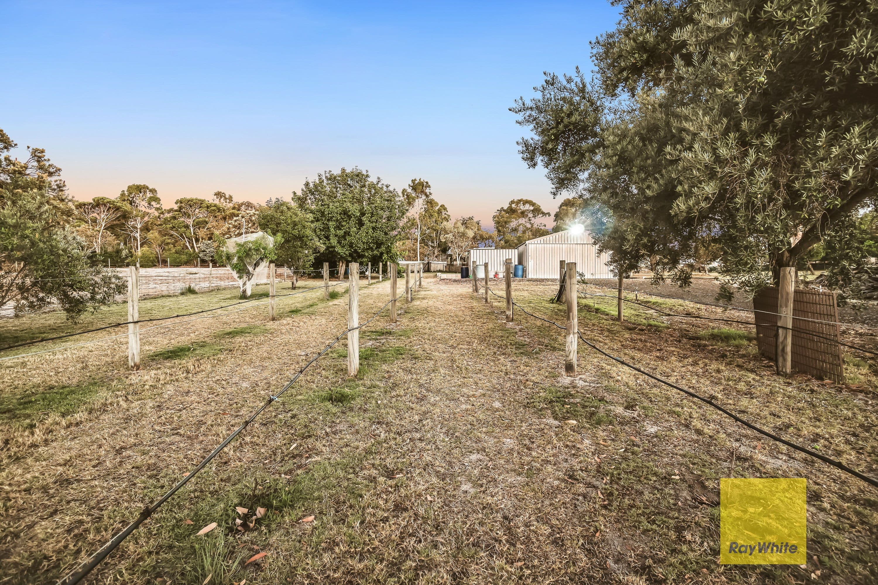 10 Lenzo Court, GNANGARA WA 6077, Gnangara - Thumbnail 2