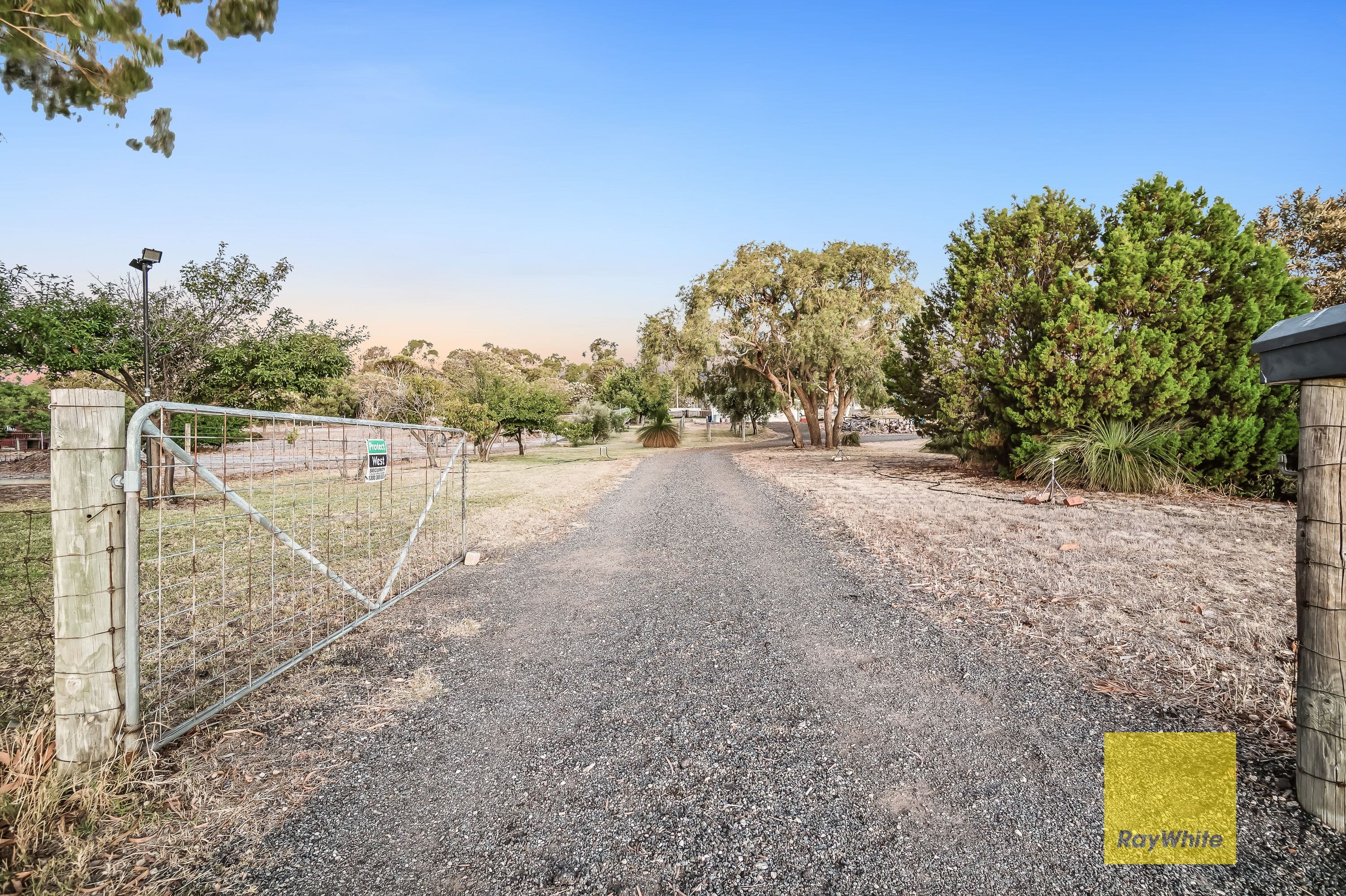 10 Lenzo Court, GNANGARA WA 6077, Gnangara - Thumbnail 5