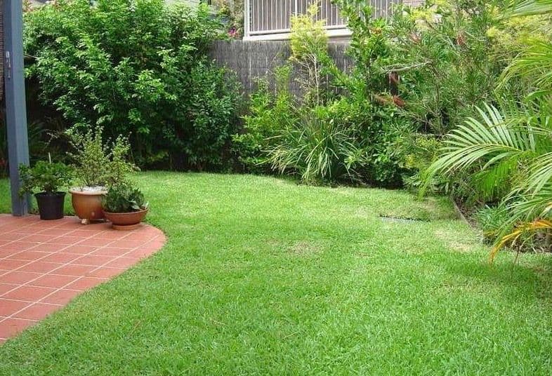 8 Tolman Court, Maroochydore QLD 4558, Maroochydore - Thumbnail 7
