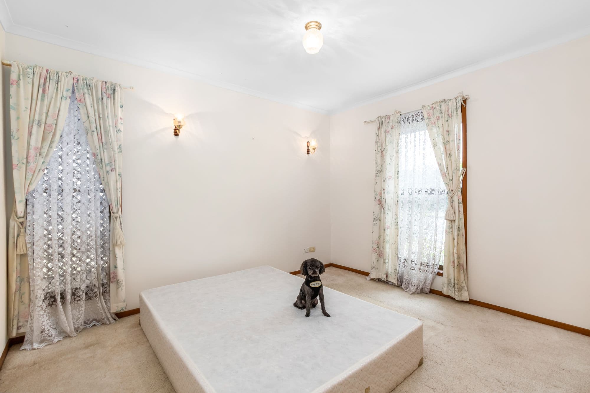 313A Horizon Drive, Westlake QLD 4074, Westlake - Thumbnail 7