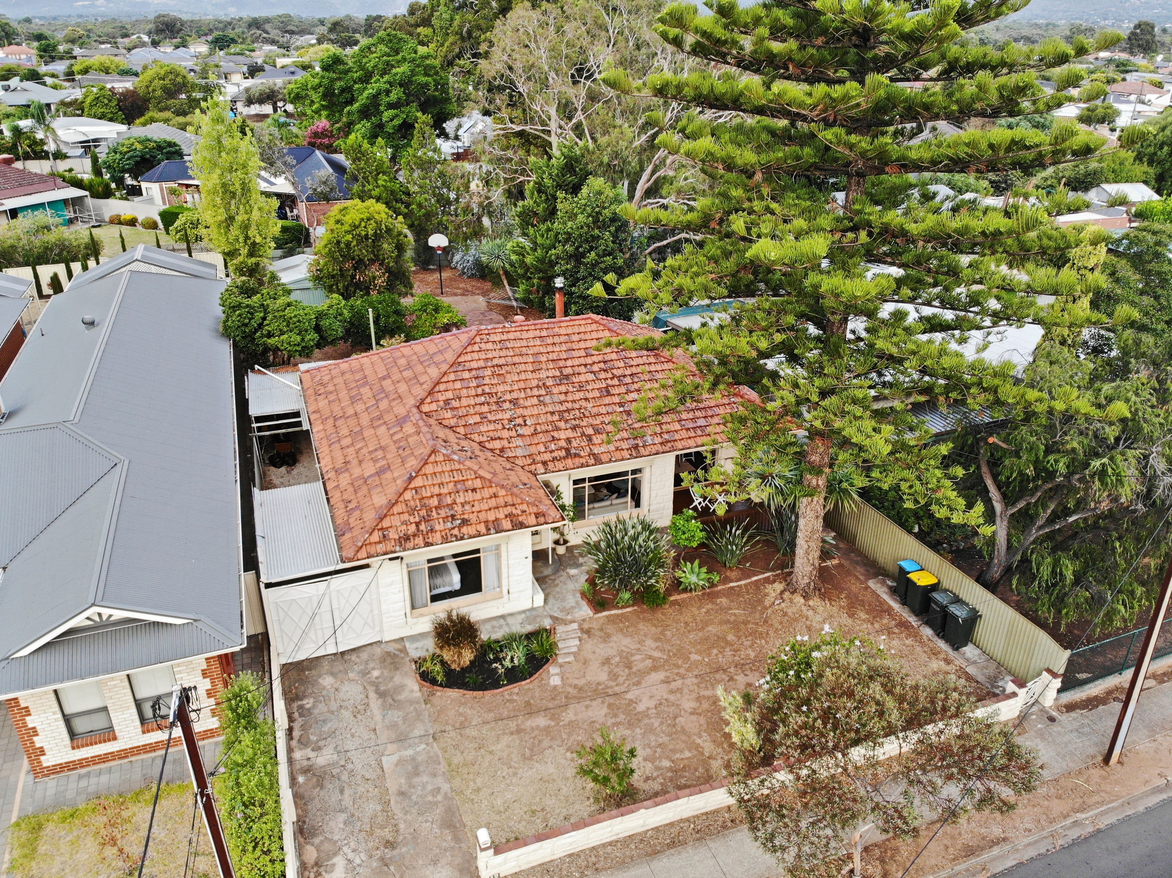 12 Torrens Avenue, Klemzig SA 5087, Klemzig - Image 1