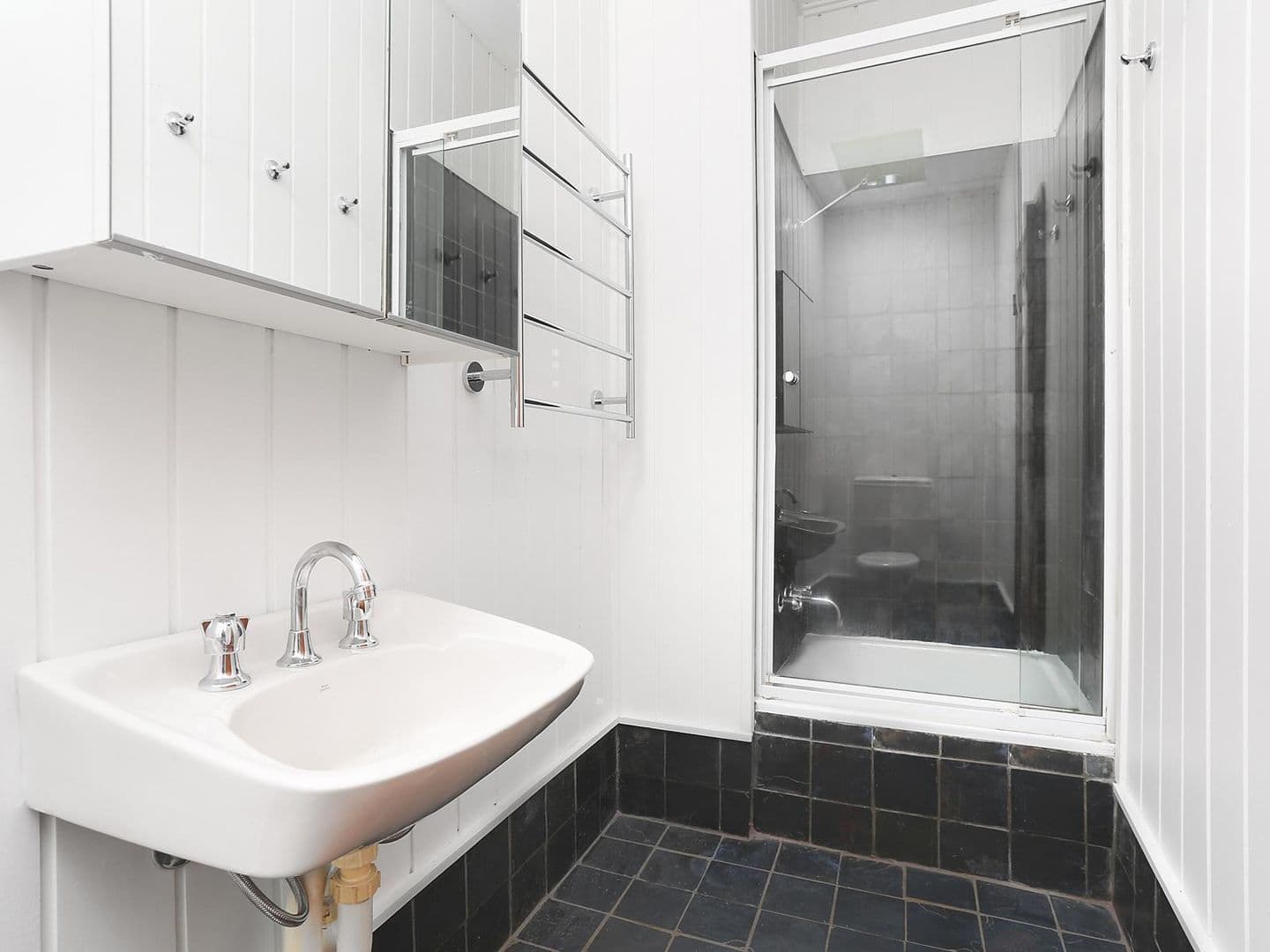 167 Evans Street, Rozelle NSW 2039, Rozelle - Thumbnail 4