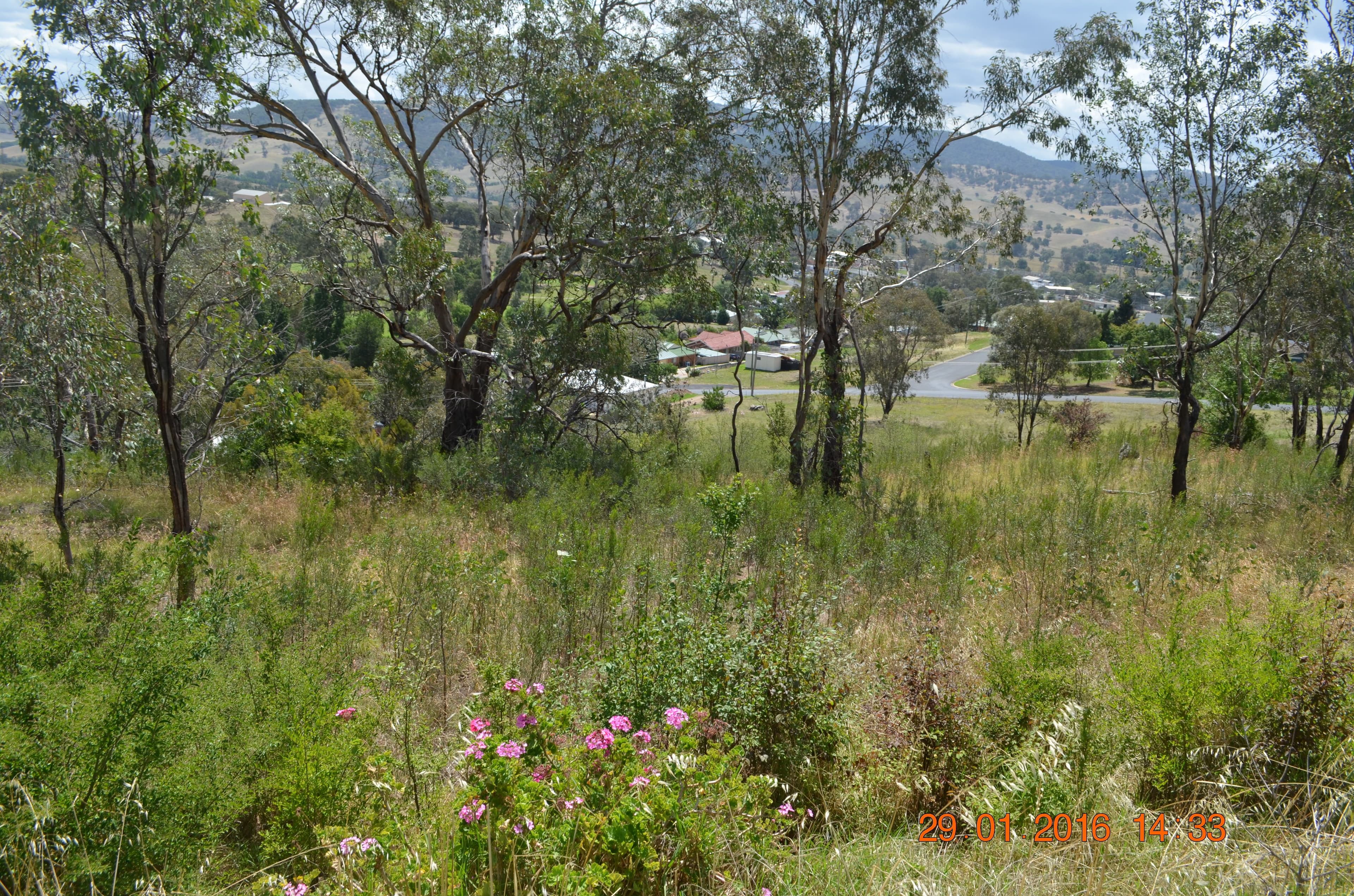 Lot 1 DP511186 Wynyard Street, TUMUT NSW 2720, Tumut - Thumbnail 5